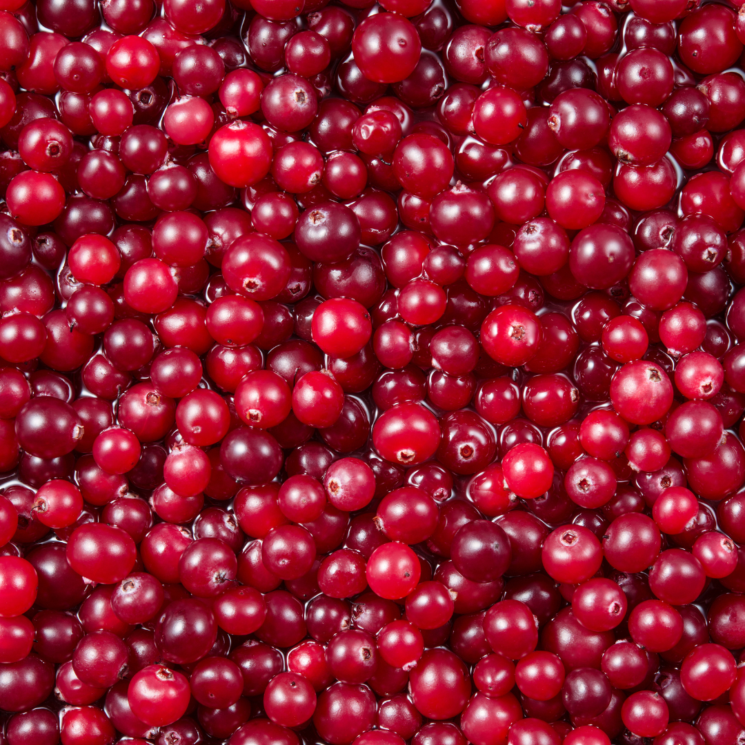 The Power of Cranberries: From Tradition to Today