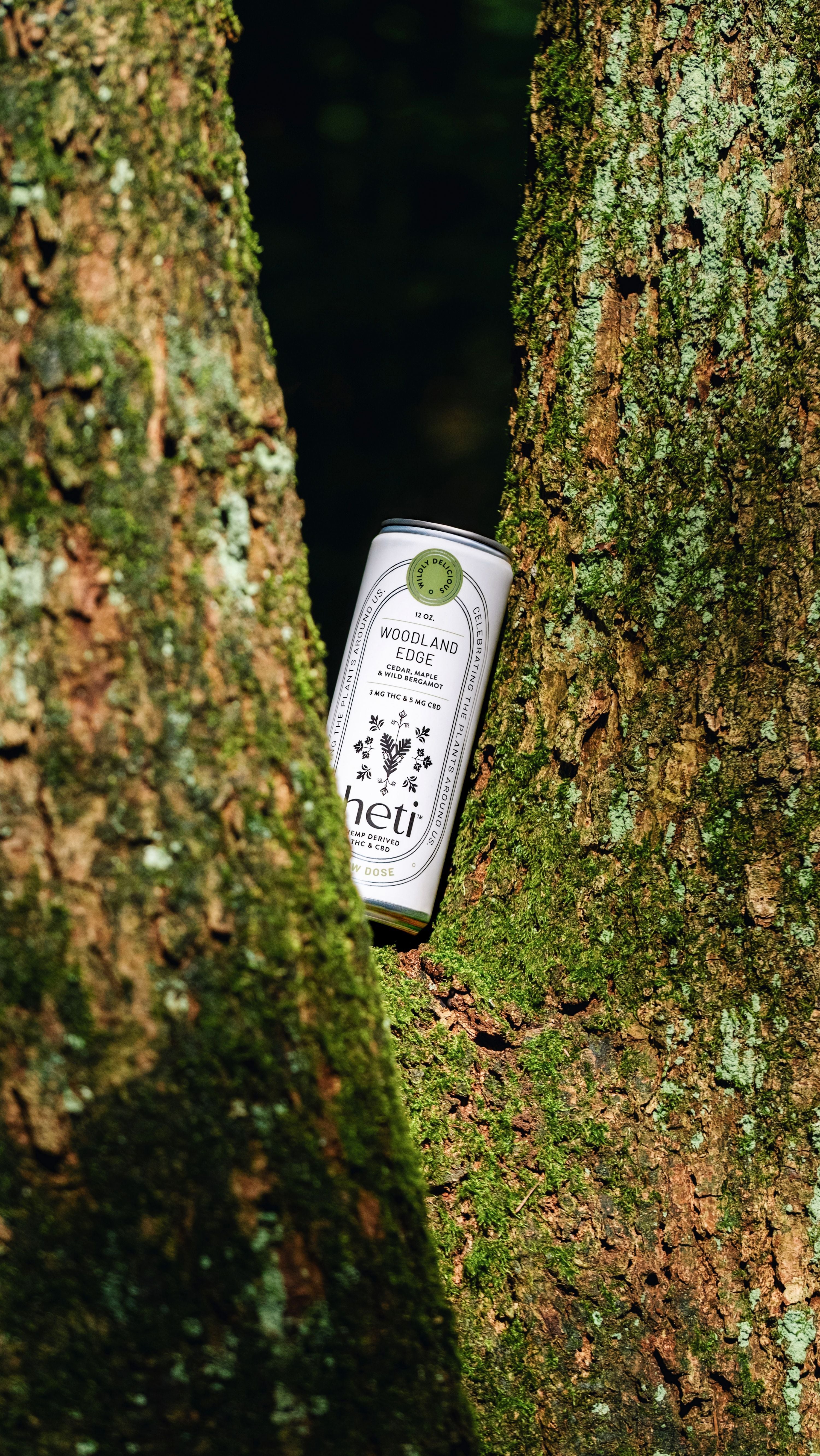 Heti CBD & THC Beverage in flavor Woodland Edge is Cedar, Maple, and Wild Bergamot.