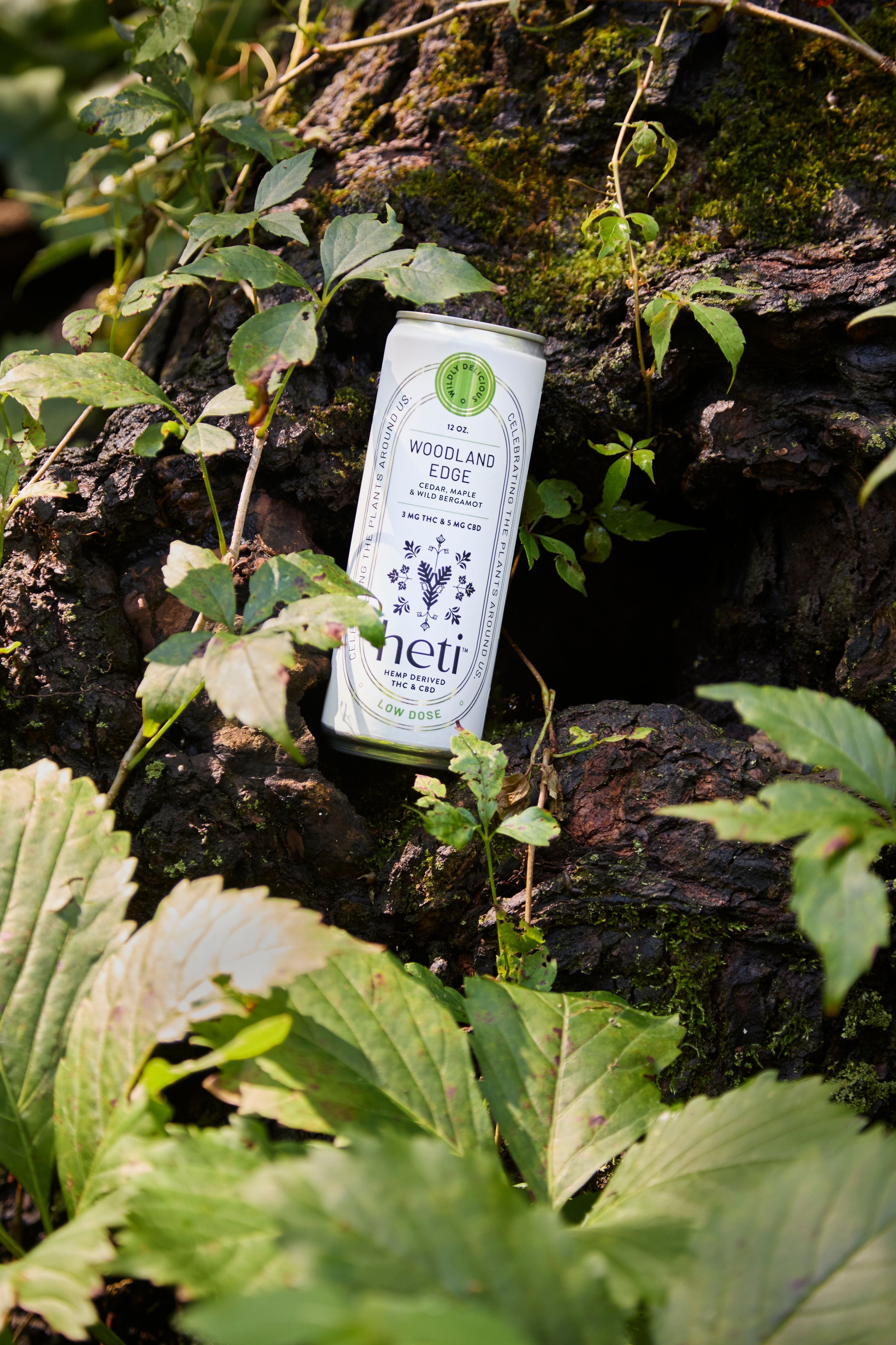 Heti CBD & THC Beverage in flavor Woodland Edge is Cedar, Maple, and Wild Bergamot.