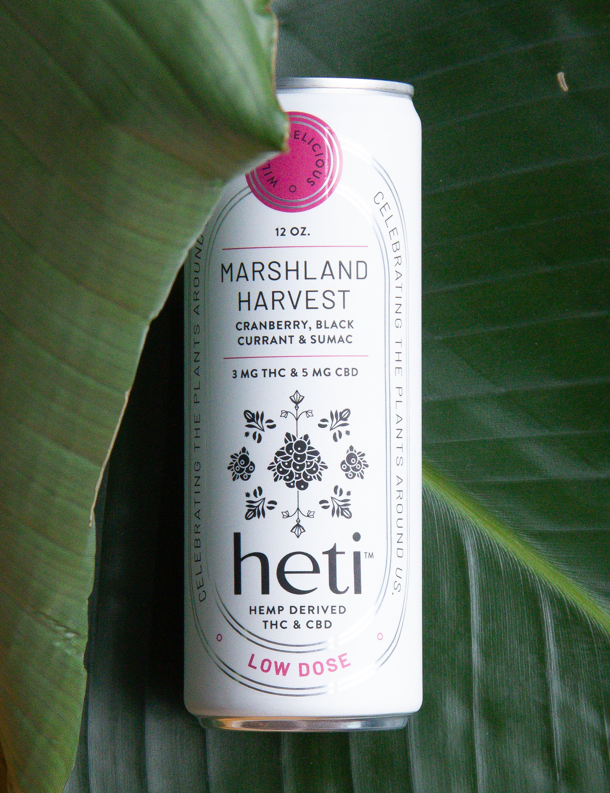 Low-dose THC and CBD drink Marshland Harvest by Heti with cranberry and black currant, styled on tropical leaves