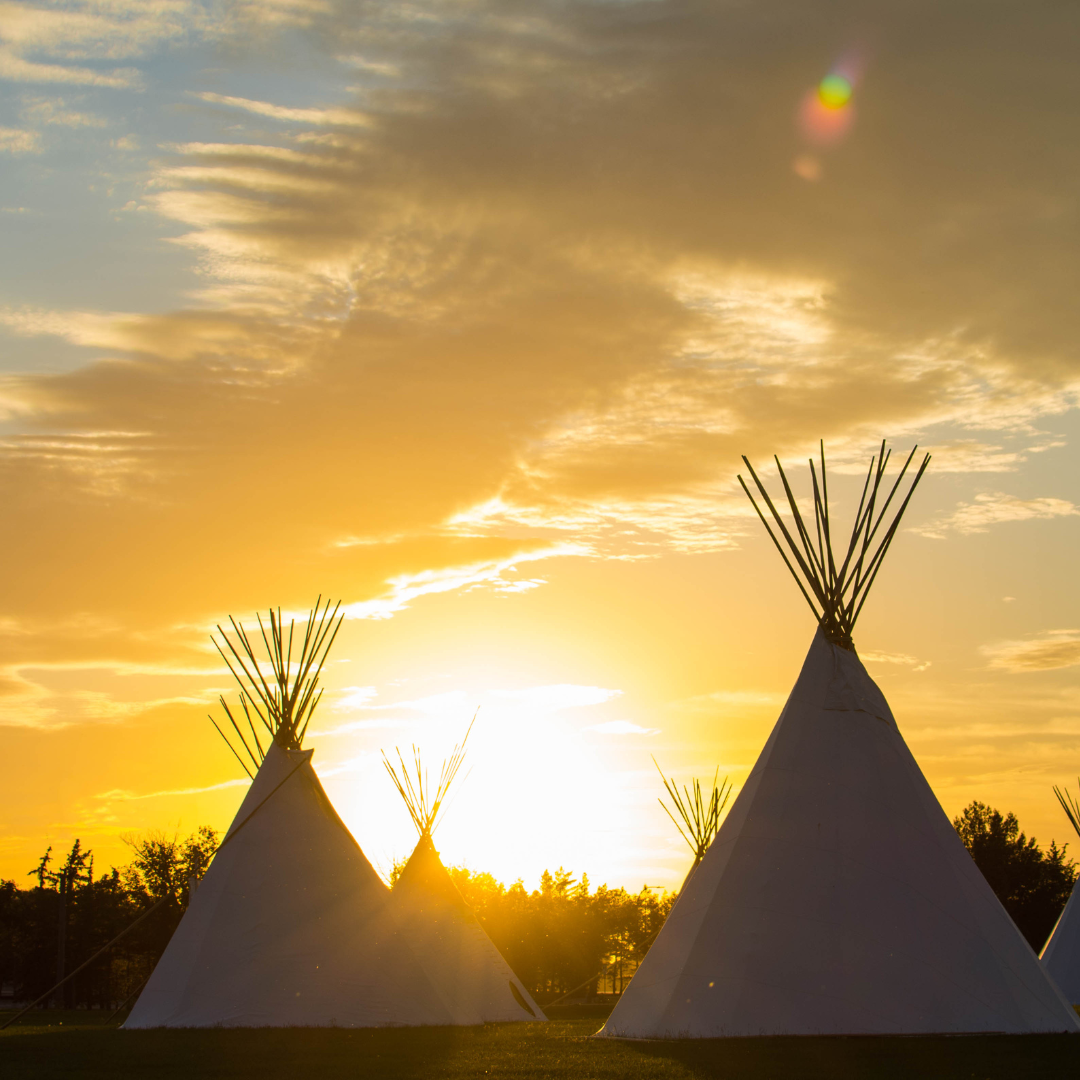 Hemp, the Bigger Picture: Indigenous Housing, Displacement, and a Regenerative Path Forward