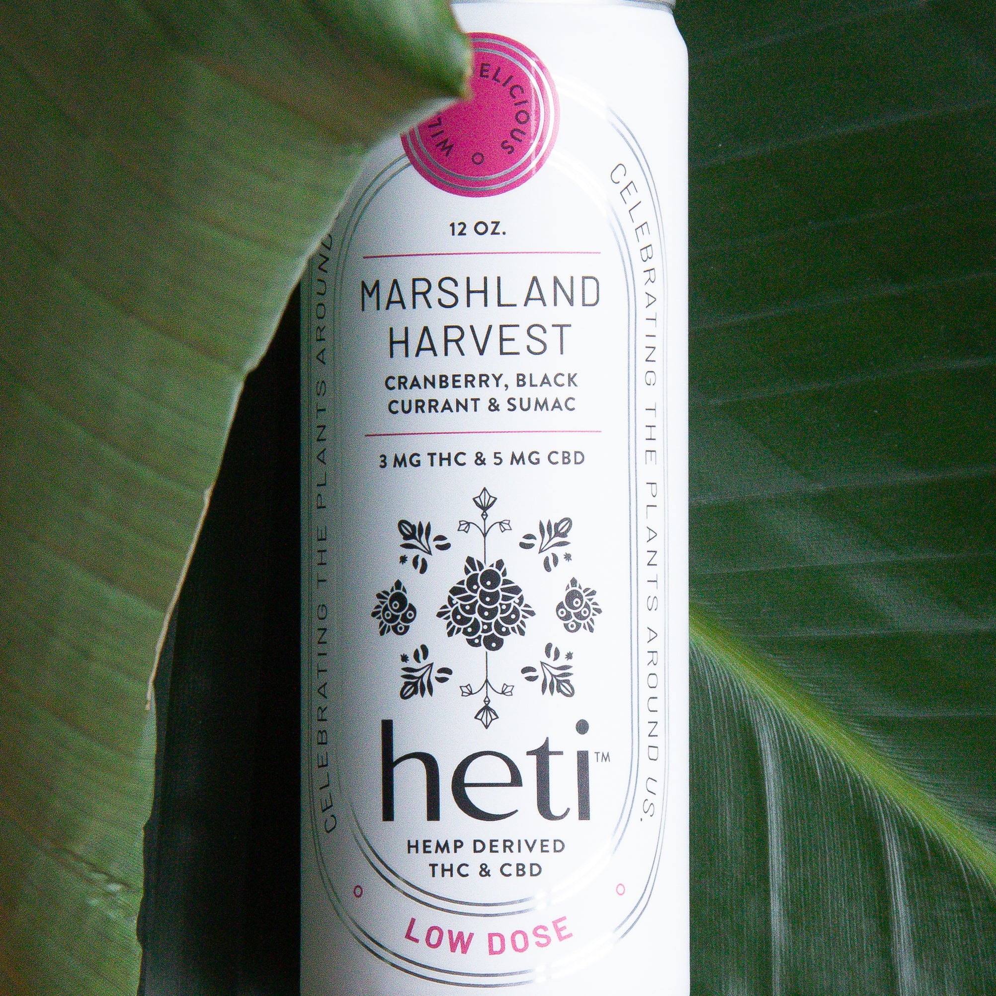 Low-dose THC and CBD drink Marshland Harvest by Heti with cranberry and black currant, styled on tropical leaves