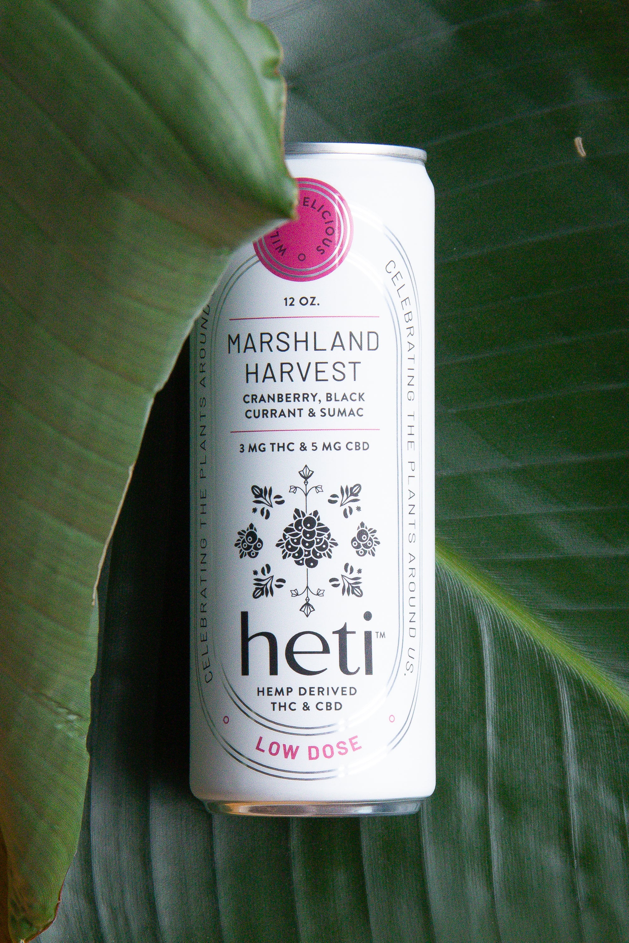Low-dose THC and CBD drink Marshland Harvest by Heti with cranberry and black currant, styled on tropical leaves